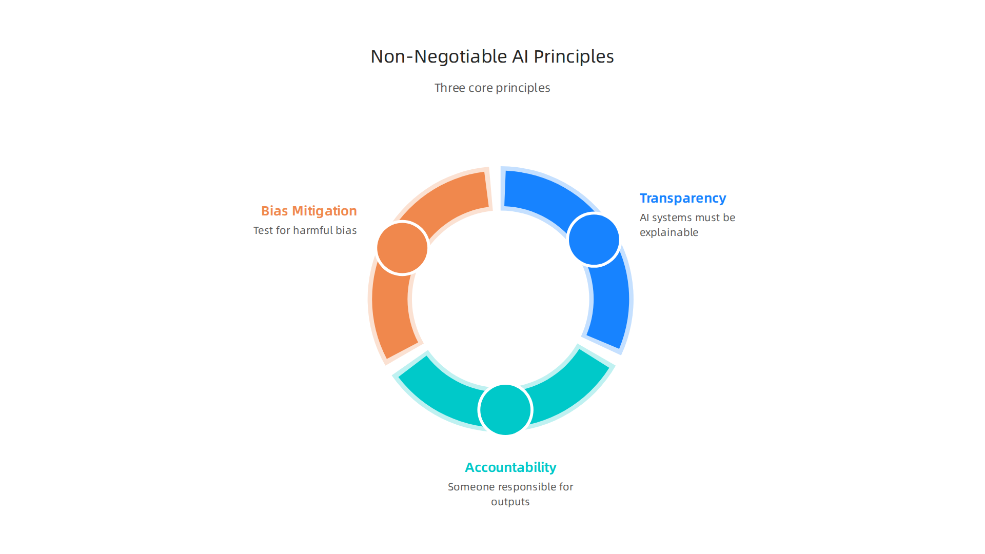 Three core principles are essential for ensuring ethical and trustworthy AI systems in any domain.