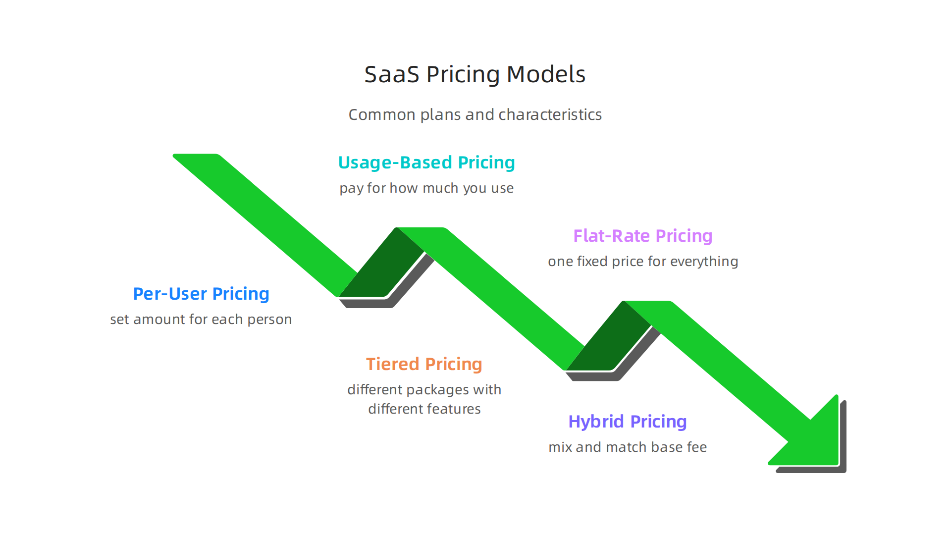 An infographic detailing common SaaS pricing models to help businesses understand costs.