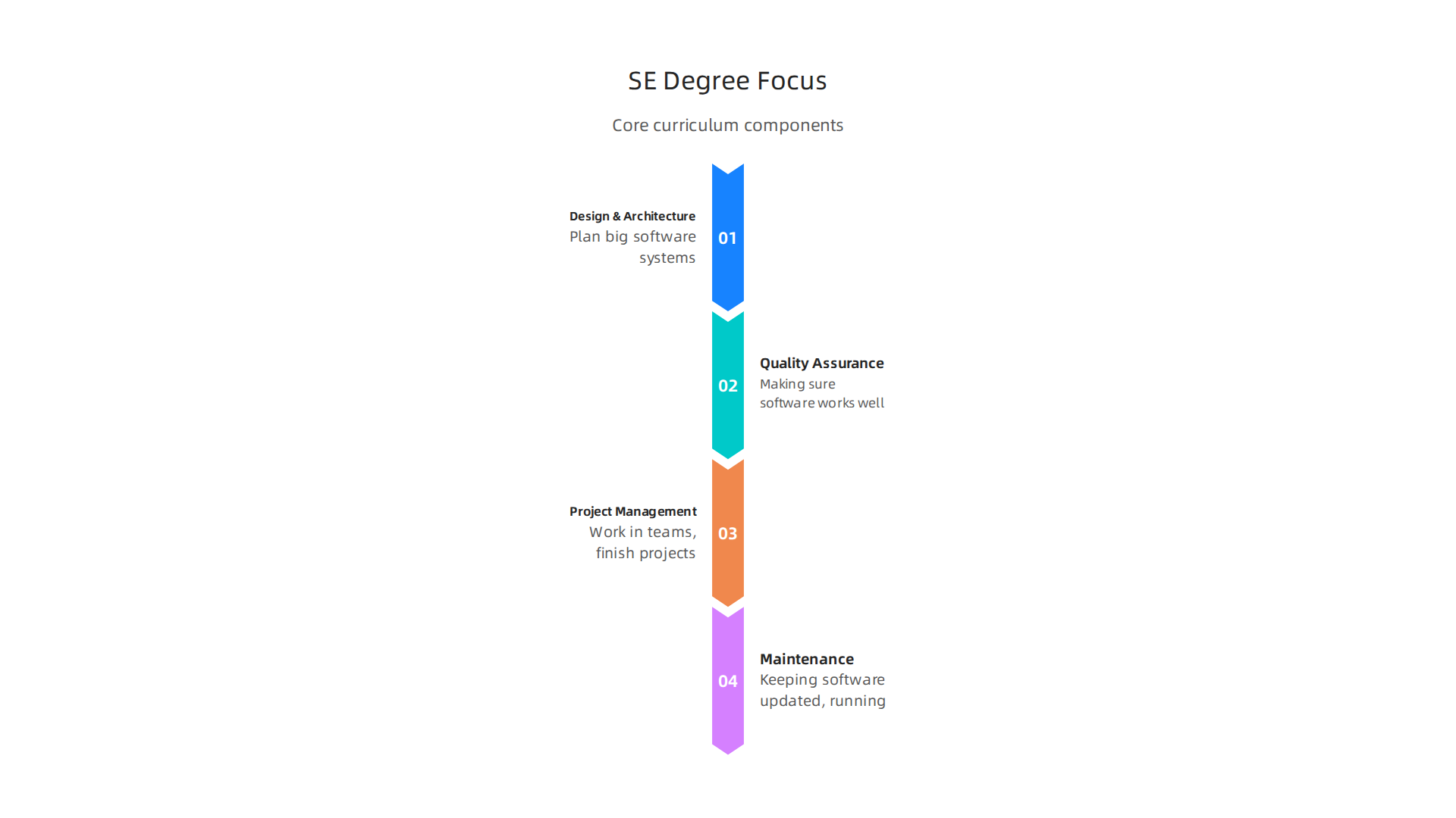 A software engineering degree encompasses various crucial aspects beyond just coding, ensuring reliable and organized software development.
