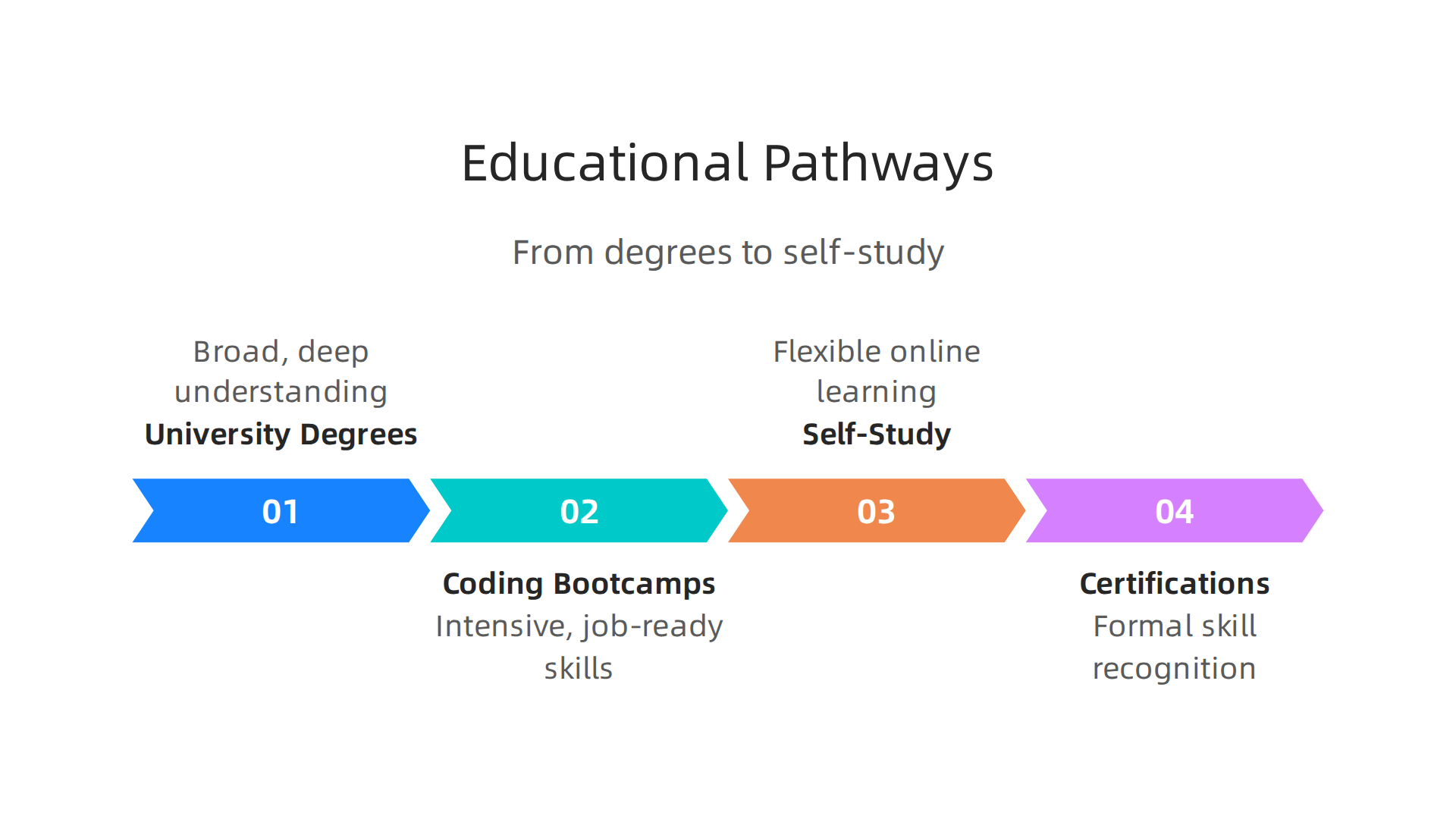 Various educational pathways, from traditional degrees to flexible self-study, cater to different learning styles and career goals in computer science.