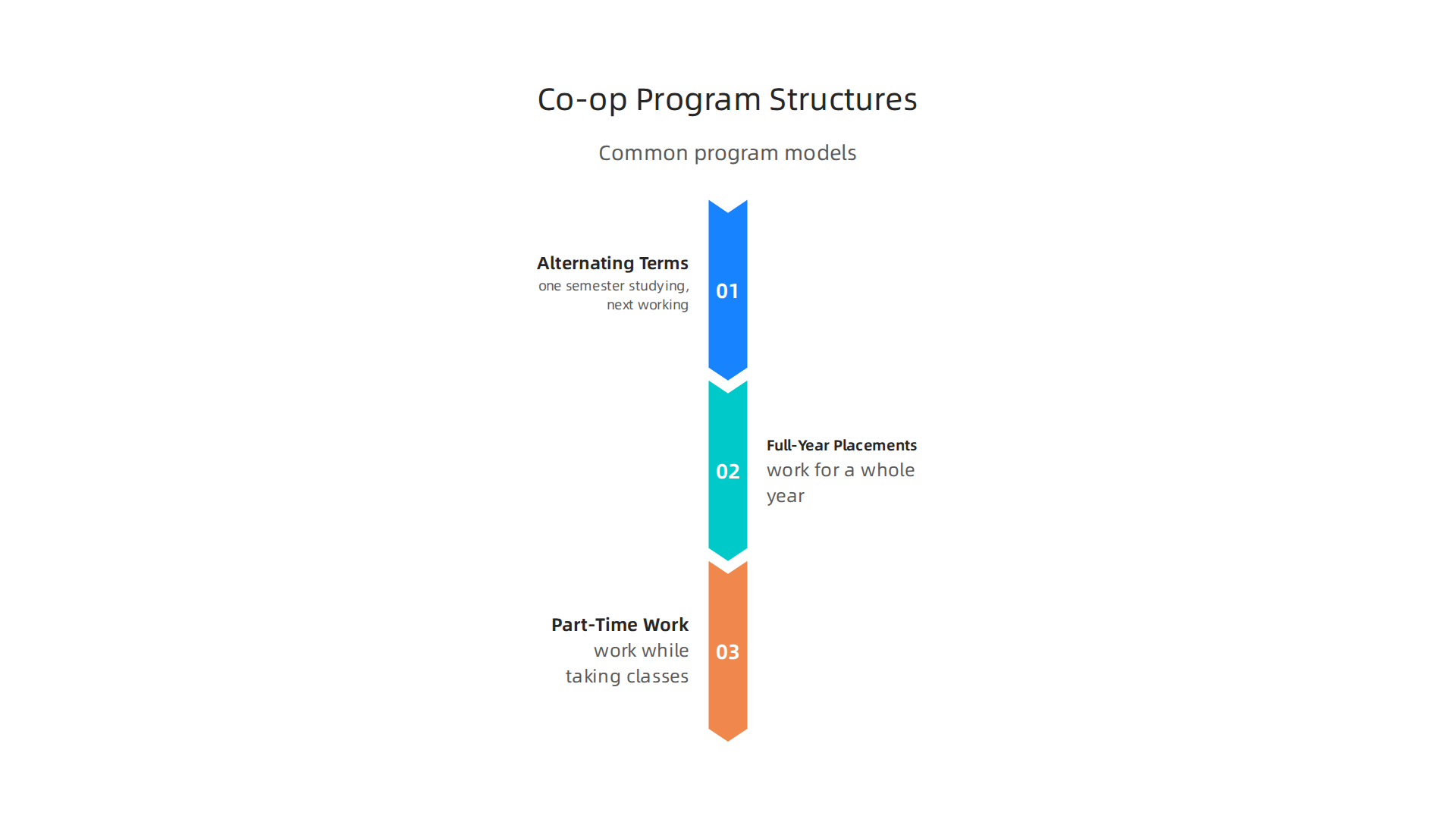 An infographic illustrating the typical organizational structures of computer science co-op programs.
