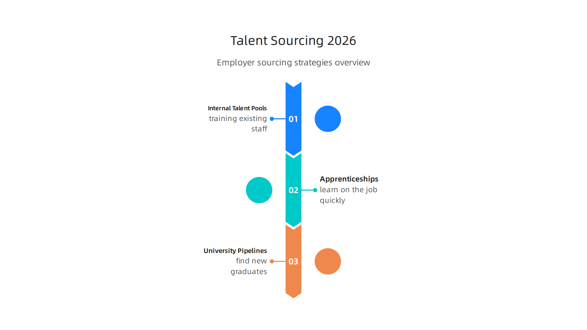 Infographic outlining diverse strategies employers use to source and hire skilled software developers, including internal development and external partnerships.